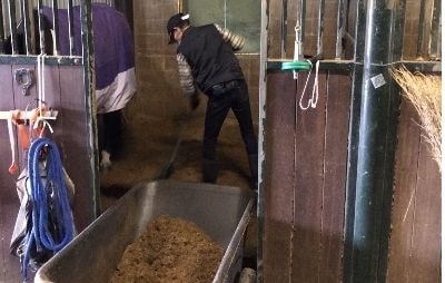 午後のボロ取りや施設の清掃・整備