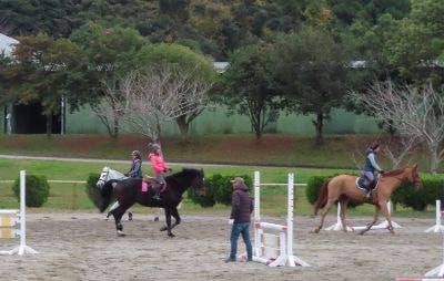 レッスンのない自馬の運動