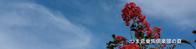 つま恋乗馬倶楽部の夏の風景