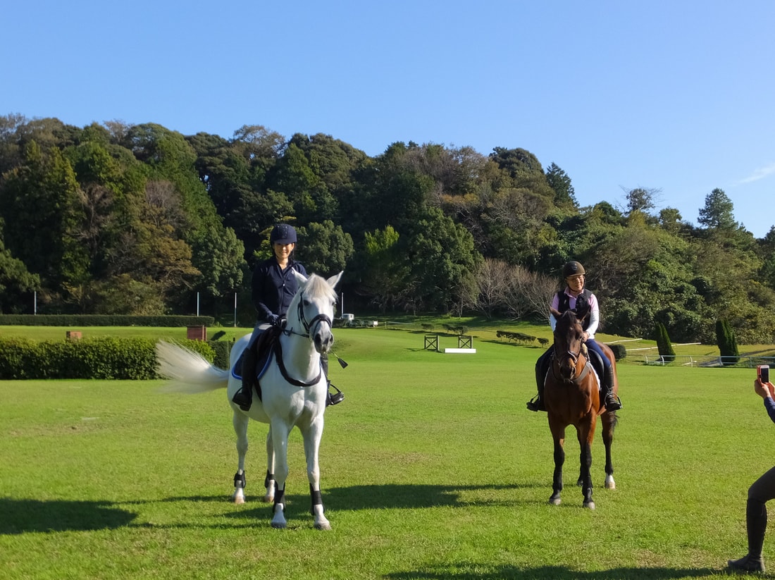 ポニー生活体験