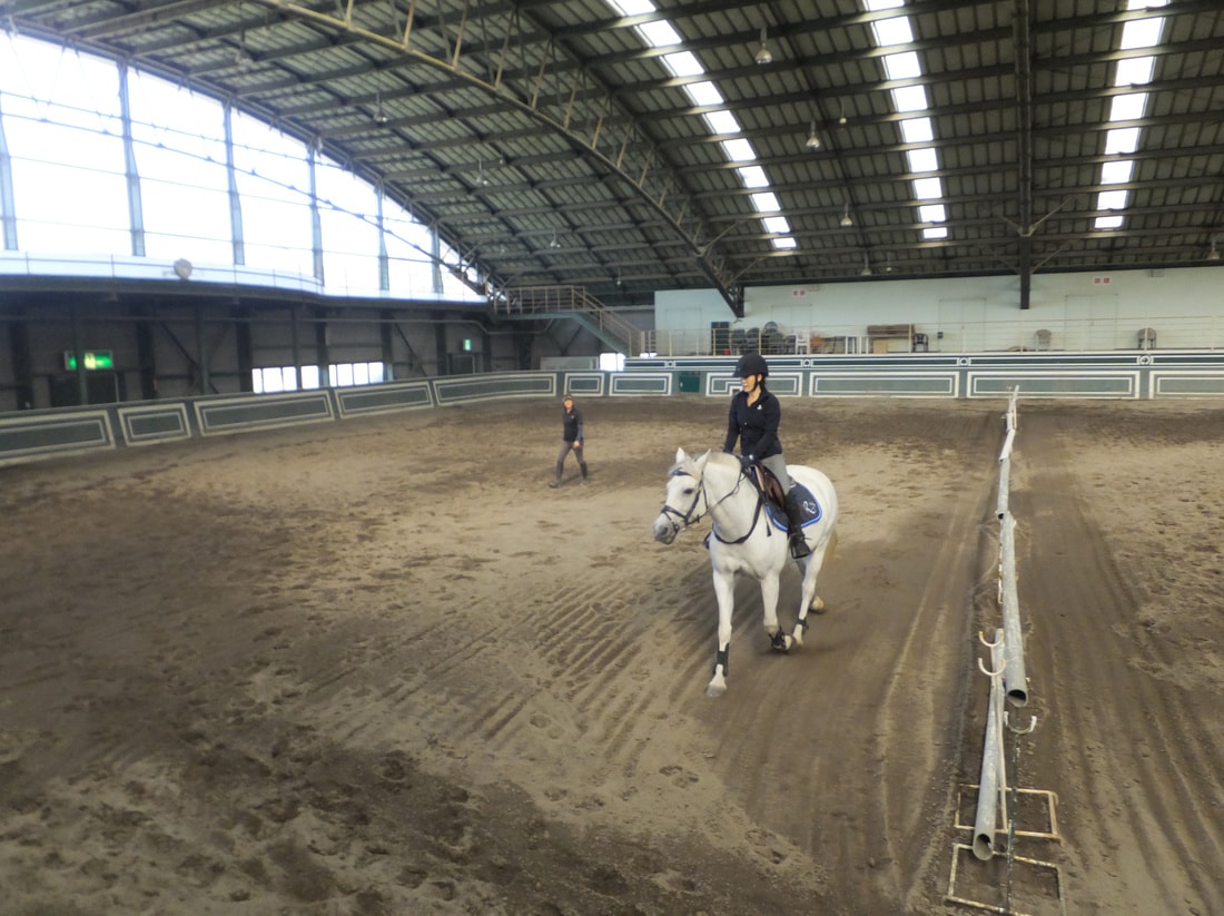 にんじんポニー