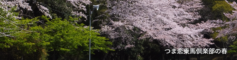 つま恋乗馬倶楽部の春の風景